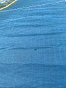 Glide 1.0 HL-Series 5m (Tarifa Demo)